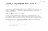 Types of Companies and Forms of Organising Public Sector