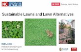 Sustainable Lawns and Lawn Alternatives