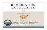 Remediation Roundtable Presentation 9 13 11