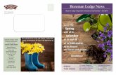 Bozeman Lodge Newsletter Template - Amazon S3