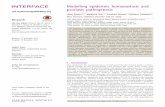 Modelling epidermis homoeostasis and psoriasis pathogenesis