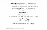 Mathematical Literacy, Mathematics and Mathematical