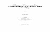 Effects of Ultrasound in Microelectronic Ultrasonic Wire ...