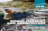 IN BRIEF THE STATE OF WORLD FISHERIES AND …