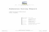 Asbestos Survey Report - Loudoun