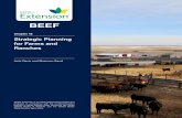 Chapter 42: Strategic Planning for Farms and Ranches