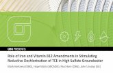 Role of Iron and Vitamin B12 Amendments in Stimulating ...