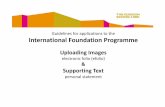 Guidelines International Foundation Programme