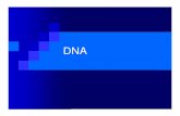 DNA notes 2012.pptx [Read-Only] - LCPS