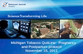 Michigan Tobacco QuitLine: Pregnancy and Postpartum ...