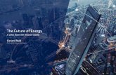 The Future of Energy - IAEE