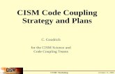 CISM Code Coupling Strategy and Plans
