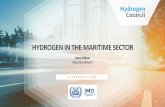 HYDROGEN IN THE MARITIME SECTOR