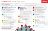 SARS-CoV-2 Variants and mutations