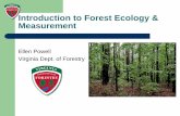 Introduction to Forest Ecology & Measurement