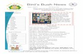 Bird s Bush News