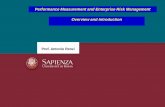 Performance Measurement and Enterprise Risk Management ...