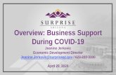 Overview: Business Support During COVID-19