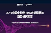 2019中国企业级PaaS市场现状与 - actionsoft.com.cn
