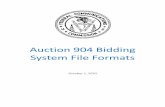 Auction 904 Bidding System File Formats