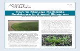 How to Manage Herbicide Resistance in Annual Bluegrass