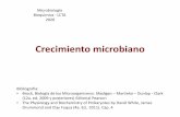 Crecimiento microbiano - UNR