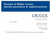 Security of Elliptic Curves: domain parameters ...