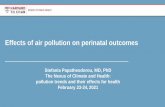 Effects of air pollution on perinatal outcomes