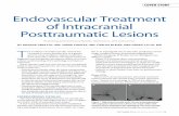 Endovascular Treatment of Intracranial Posttraumatic Lesions