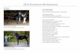 2012 Percheron All American