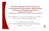Intrinsic Network Performance in Transmission Expansion ...
