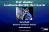 Terabit Consulting: Broadband and Fiber Optic Market Analysis