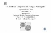 Molecular Diagnosis of Fungal Pathogens