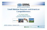 Small Modular Reactors and American Competitiveness