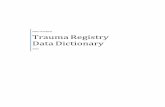Trauma Registry Data Dictionary - Indiana