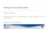 Stringy extremal black holes - CERN