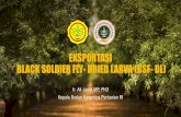 EKSPORTASI BLACK SOLDIER FLY- DRIED LARVA (BSF- DL)