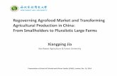 Regoverning Agrofood Market and Transforming Production in ...