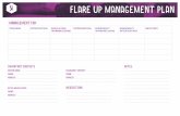 FMNZ Flare Up Plan - WordPress.com