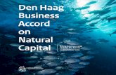 Den Haag Business Accord on Natural Capital