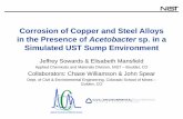 Corrosion of Copper and Steel Alloys in the Presence of ...