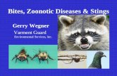 Bites, Zoonotic Diseases & Stings