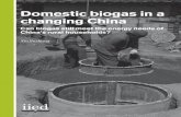 Domestic biogas in a changing China