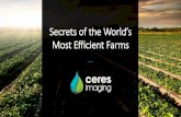 Secrets of the World’s Most Efficient Farms
