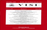 VISI (2017 ) 25 (2 ) 3049 -3069