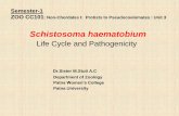 Life Cycle and Pathogenicity