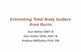 Estimating Total Body Surface Area Burns