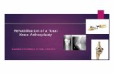 Rehabilitation of a Total Knee Arthroplasty