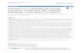 Evaluation of a multimodal pain therapy concept for ...