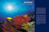 Laporan Tahunan 2001 Annual Report - Malakoff